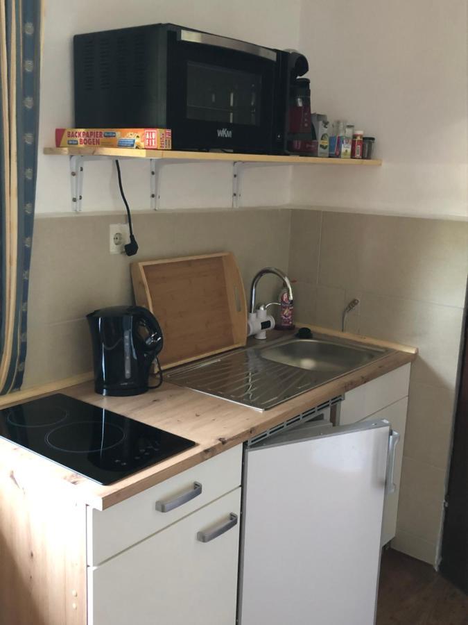Ferienwohnung Im Nationalpark Gesaeuse Hieflau Zewnętrze zdjęcie